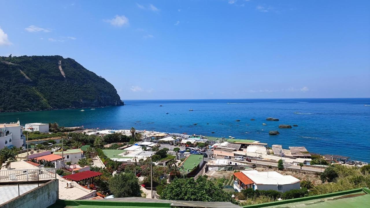La Dea Del Mare Apartment Forio  Ngoại thất bức ảnh